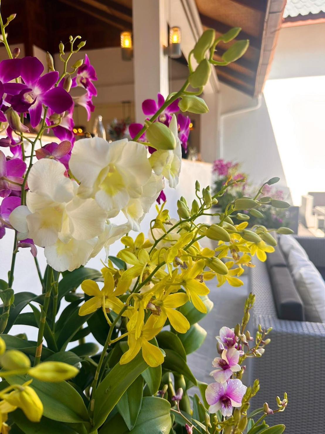 Ocean Pie Phuket - Adult Only Hotel Rawai Ngoại thất bức ảnh